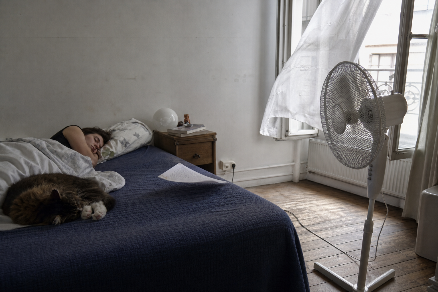 Meilleur ventilateur silencieux 2026 : le comparatif